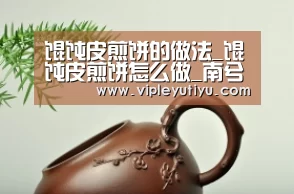 馄饨皮煎饼的做法_馄饨皮煎饼怎么做_南兮·人间烟火的菜谱【leyu】(图4) 乐鱼