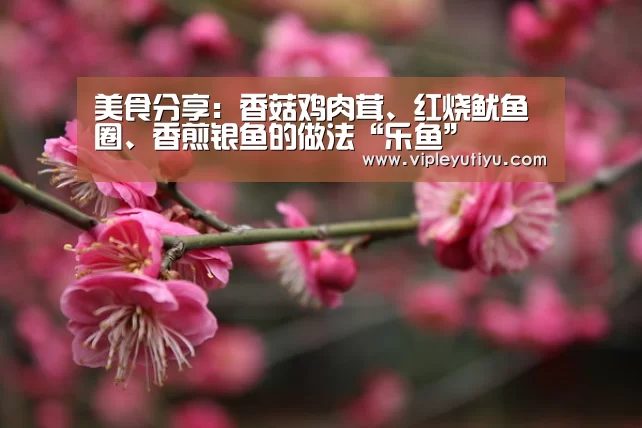 美食分享:香菇鸡肉茸、红烧鱿鱼圈、香煎银鱼的做法“乐鱼”(图2) 乐鱼体育app
